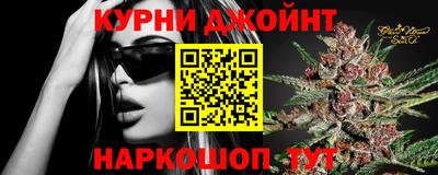 сатива Краснознаменск