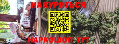 сатива Краснознаменск