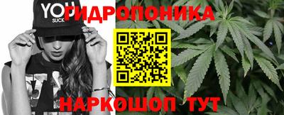 сатива Краснознаменск