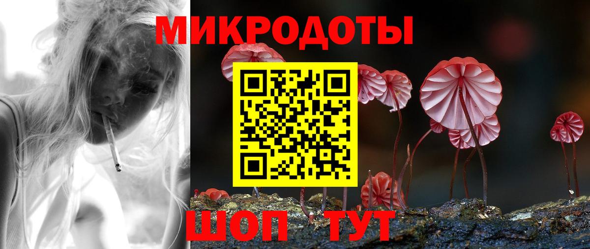 Псилоцибиновые грибы Psilocybe  Вход с VPN  Кимовск 